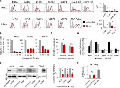 The HHV-6A Proteins U20 and U21 Target NKG2D Ligands to Escape Immune Recognition